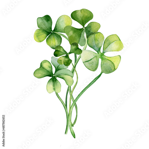 Shamrock and clover bunch watercolor illustration isolated on white background. Hand painted green four leaves. Hand drawn Irish lucky symbol. Design element for St.Patricks day postcard, banner