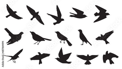 set of silhouettes of birds photo