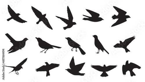 set of silhouettes of birds