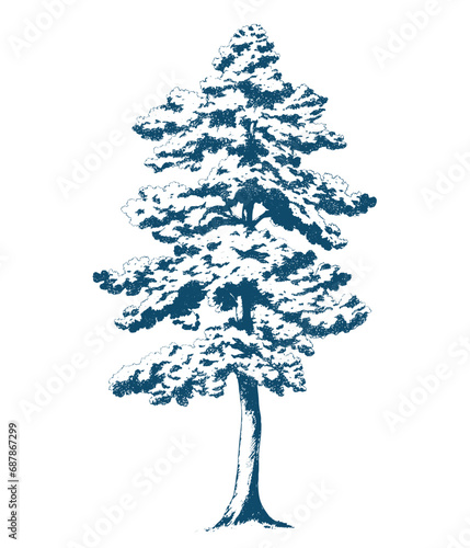 Beautiful vector stock print. Hand drawn forest tree pencil illustration.