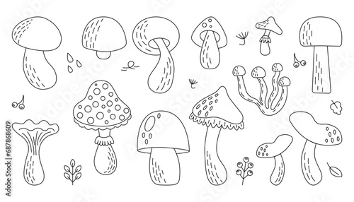 Doodle set of different types of mushrooms. White mushroom, chanterelles, agarics, white mushroom, honeydew. Collection of food ingredients