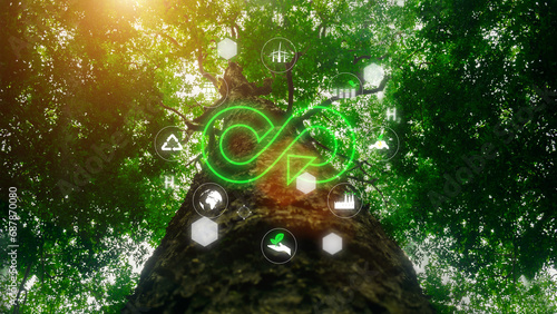 Circular economy symbol icon. Tree background with forest nature. Endless circular economy in sustainable business concept and future environmental growth, environmental conservation photo