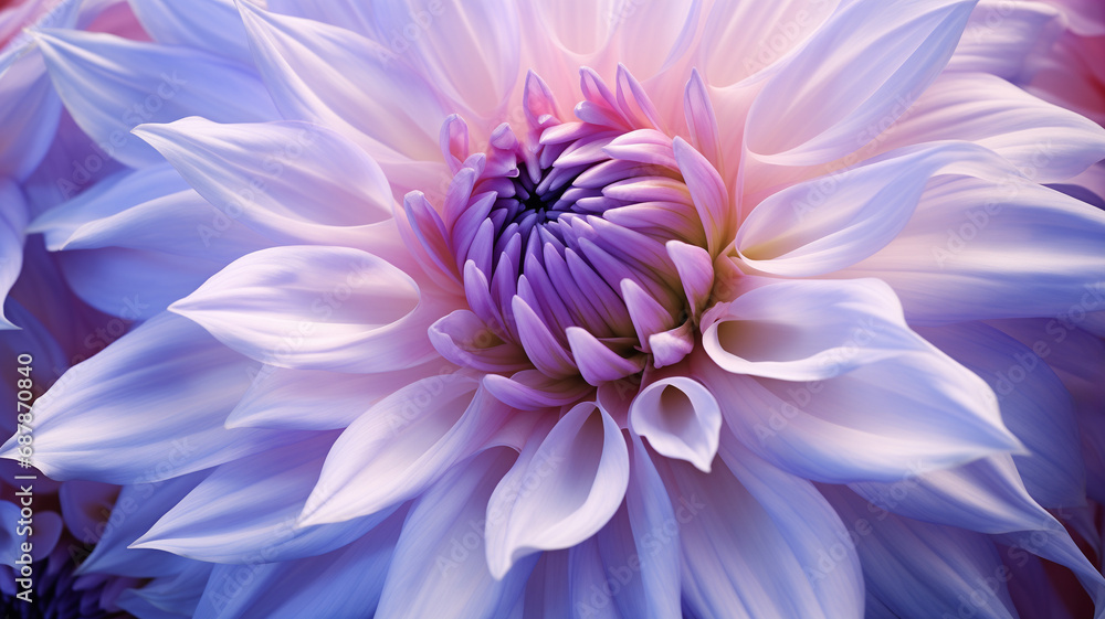 Obraz premium Blume