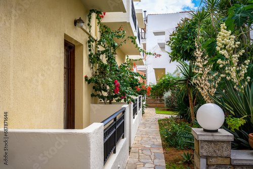 A tranquil garden graces the area next to the house, adorned with the vibrant hues of Bougainvillea, the graceful presence of Dracaena, and the leafy elegance of a Ficus tree