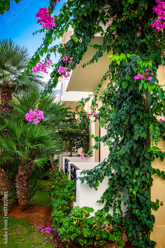 Building nestled amidst lush Mediterranean greenery, framed by vibrant bougainvillea blooms and elegant palm trees. Conveying a sense of tranquil living, travel destinations, architectural aesthetics.