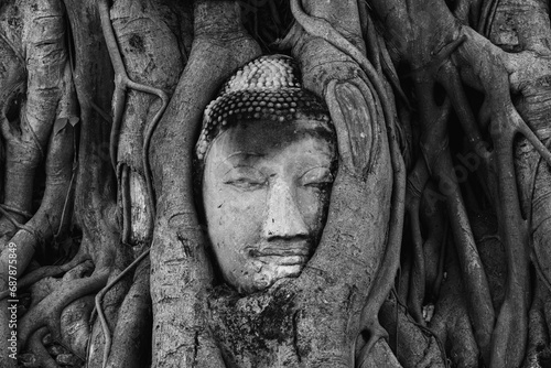 Photos buddha head in roots at Wat Mahathat in Ayutthaya