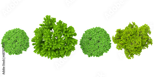 Jambul (Syzygium cumini),Ornamental,Aglaia duperreana trees in the forest, top view, area view, isolated on transparent background, 3D illustration, cg render