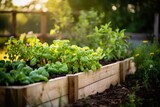 Cultivating organic vegetables in a raised garden bed, promoting sustainable and healthy home gardening.
