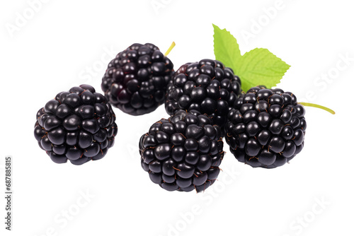 Midnight Harvest: Savoring the Richness of Black Berries isolated on transparent background