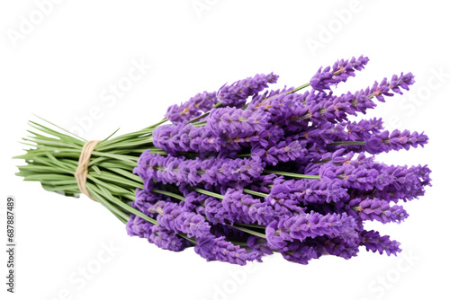 Lavender Dreams  Embracing the Tranquil Beauty of Purple Hues isolated on transparent background