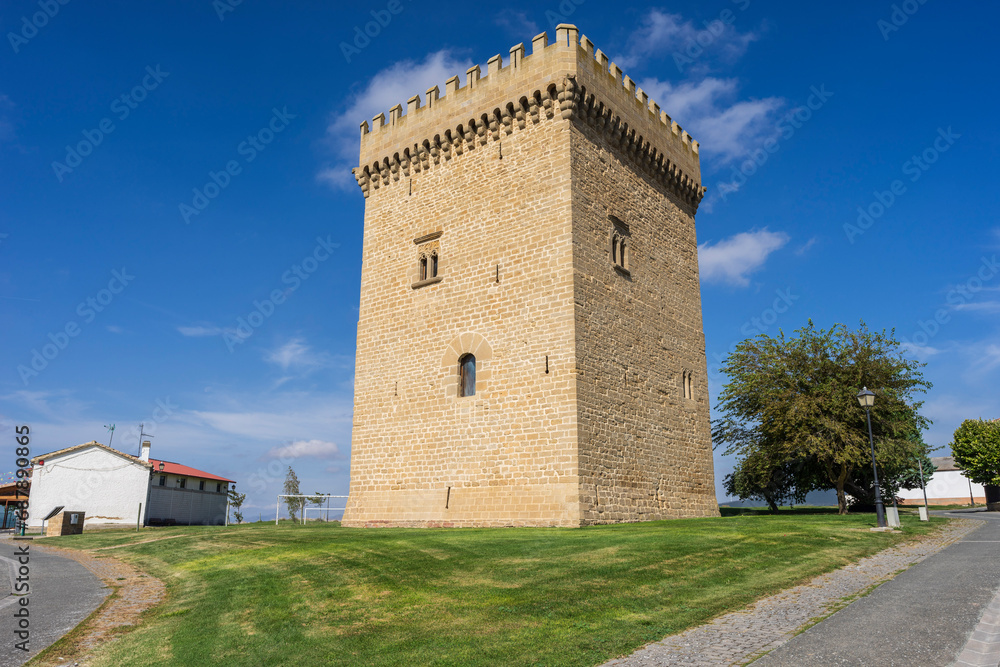 Olcoz Palace Tower, medieval construction of Cultural Interest, Olcoz, Valdizarbe valley, Navarra, Spain