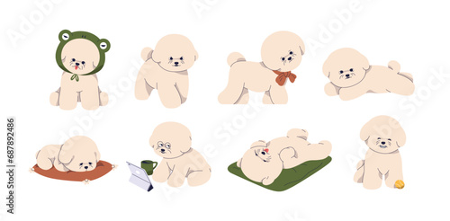 Cute puppy of Bichon frise breed. Funny dogs, little canine animals, toy doggies set. Sweet pups walking, lying, sleeping, playing, relaxing. Flat vector illustrations isolated on white background