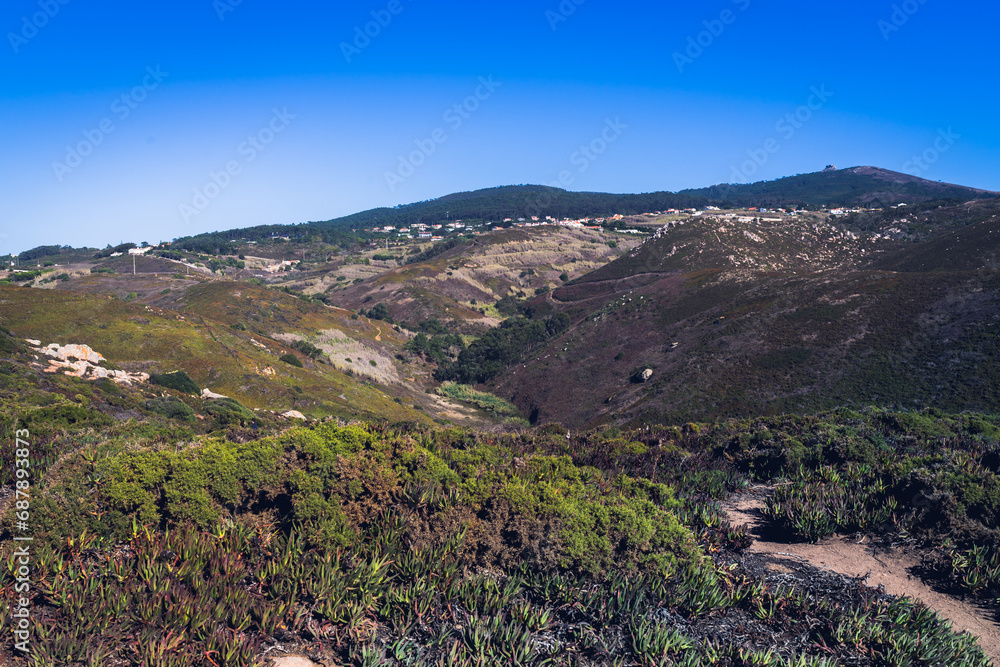 A valley in the mountains of Portugal, overgrown with grass, various plants and trees. Greenish and brown tones.