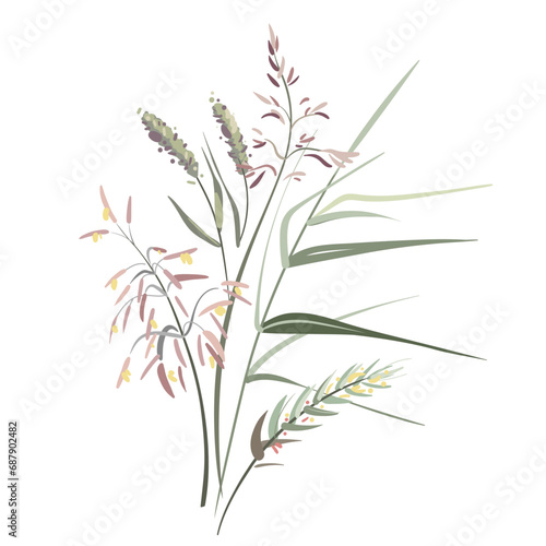 Colorful hand drawn sketch. Set of plants on a white background. Medical herb and spice. Vintage grass branch.  