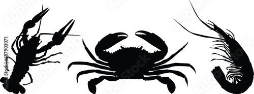 Crustaceans. Collection of sea animals. Crayfish, crabs, shrimp. Illustration on a transparent background.  Silhouette photo