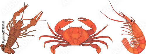 Crustaceans. Collection of sea animals. Crayfish, crabs, shrimp. Illustration on a transparent background. 