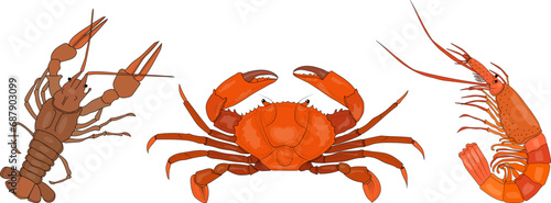Crustaceans. Collection of sea animals. Crayfish, crabs, shrimp. Illustration on a transparent background. Vector. 