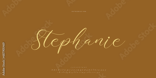 signature Font Calligraphy Logotype Script Brush Font Type Font lettering handwritten 