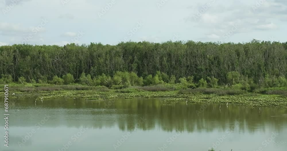 Birds Flying Above Spile Lake Backdropped By Dense Forest In Osage Township, Missouri. pan left Birds Flying Above Spile Lake Backdropped By Dense Forest In Osage Township, Missouri. pan left