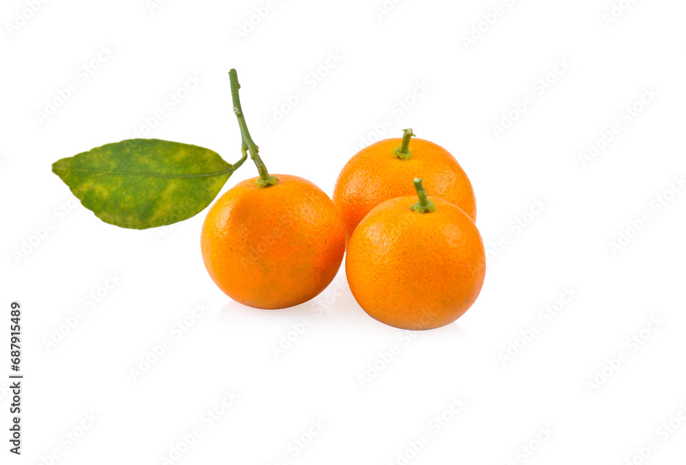 kumquat orange that placed on white background kumquat orange that placed on white background