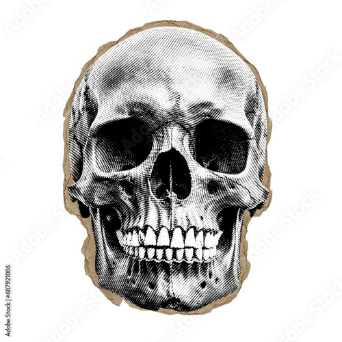 halftone torn paper skull object on transparent background
