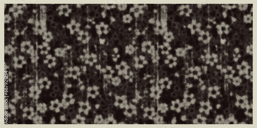 Daisy flower vector pattern illusration floral background