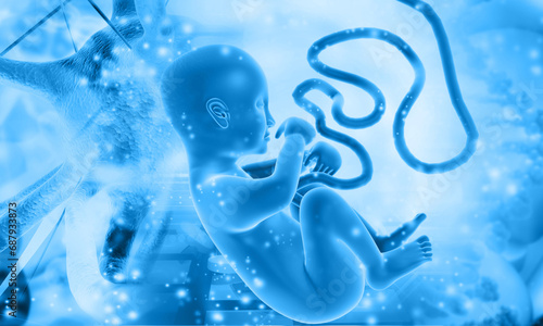 Human fetus, Fetus Baby Unborn. 3d illustration.