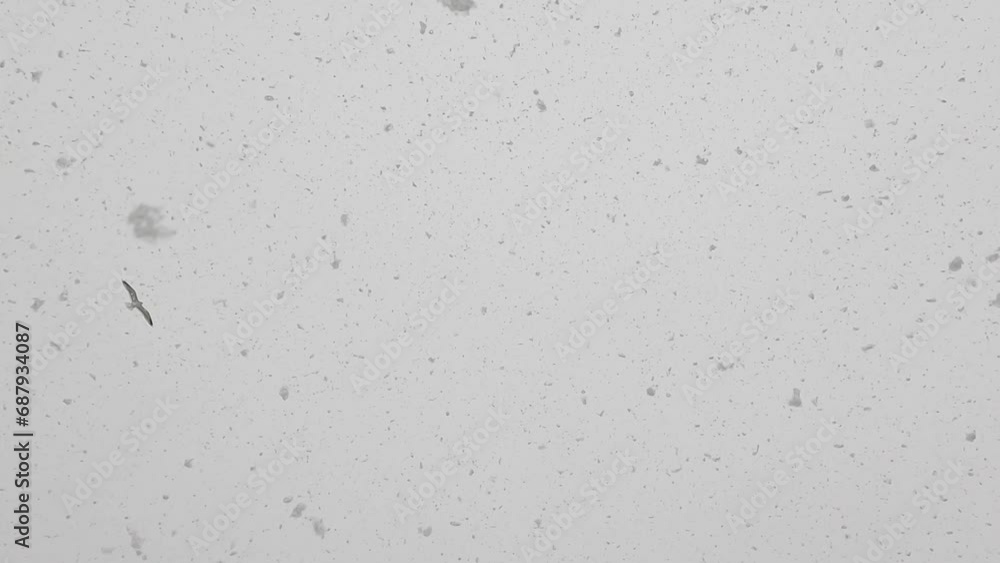 Falling Snowflakes Against A Cloudy Sky Falling Snowflakes Against A Cloudy Sky