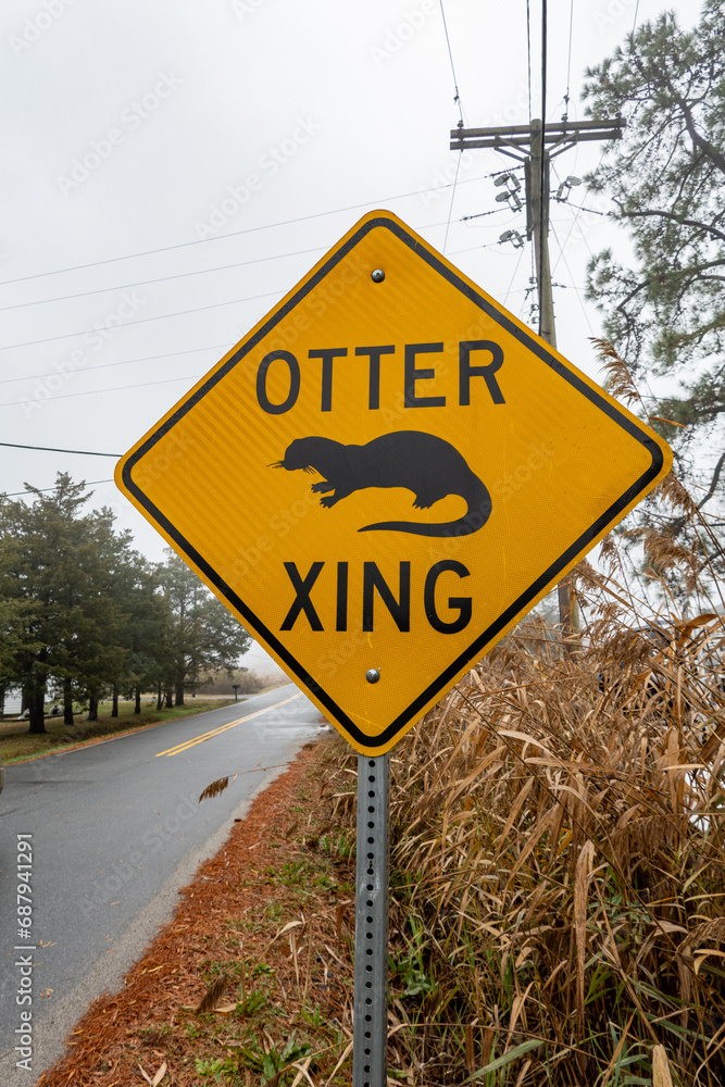 Brommes Island, Maryland USA An Otter crossing road sign on a country road.