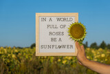IN A WORLD FULL OF ROSES BE A SUNFLOWER text on white board next to sunflower field. Sunny summer day. Motivational caption inspirational quote. Be 