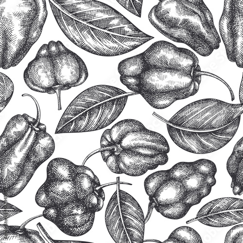 Hand drawn sketch style scotch bonnet pepper seamless pattern. Organic fresh vegetable vector illustration. Retro cayenne pepper background