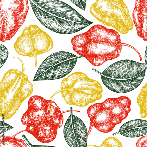 Hand drawn sketch style scotch bonnet pepper seamless pattern. Organic fresh vegetable vector illustration. Retro cayenne pepper background
