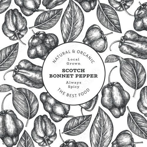Hand drawn sketch style scotch bonnet pepper banner. Organic fresh vegetable vector illustration. Retro cayenne pepper design template