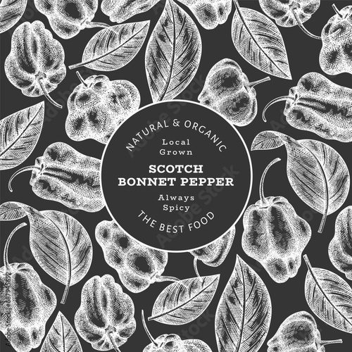 Hand drawn sketch style scotch bonnet pepper banner. Organic fresh vegetable vector illustration on chalk board. Retro cayenne pepper design template