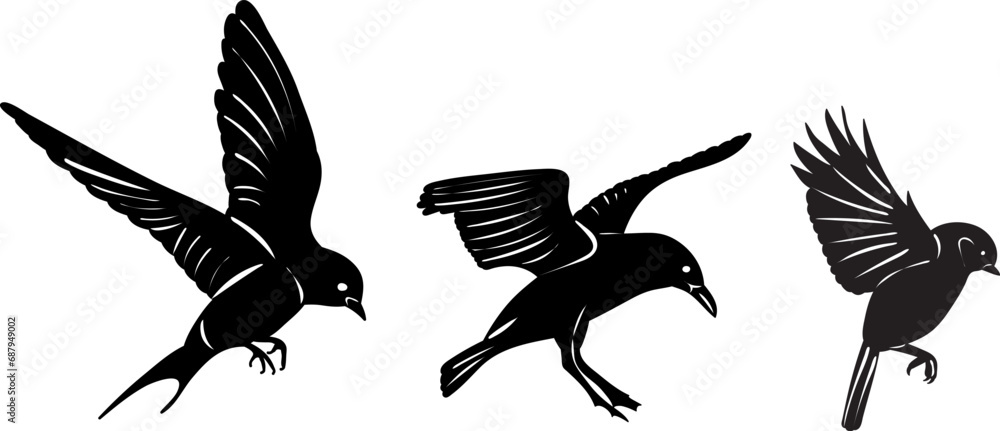 Obraz premium flying birds silhouette on white background vector