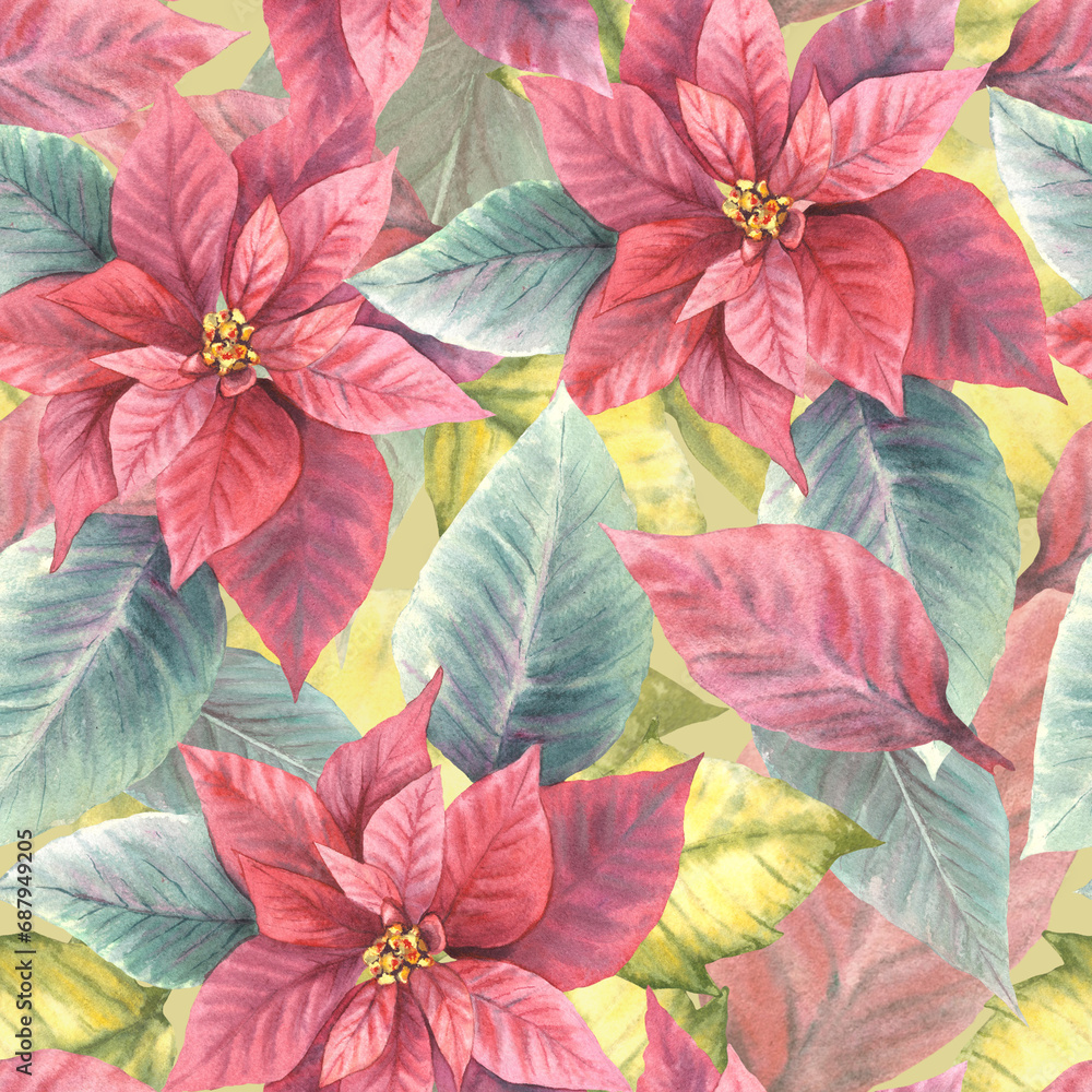Watercolor painted illustration of red poinsettia, pulcherrima flowers, leaves seamless pattern Traditional plant for Christmas or New Year decor, gift wrapping, cover art Isolated coloured background