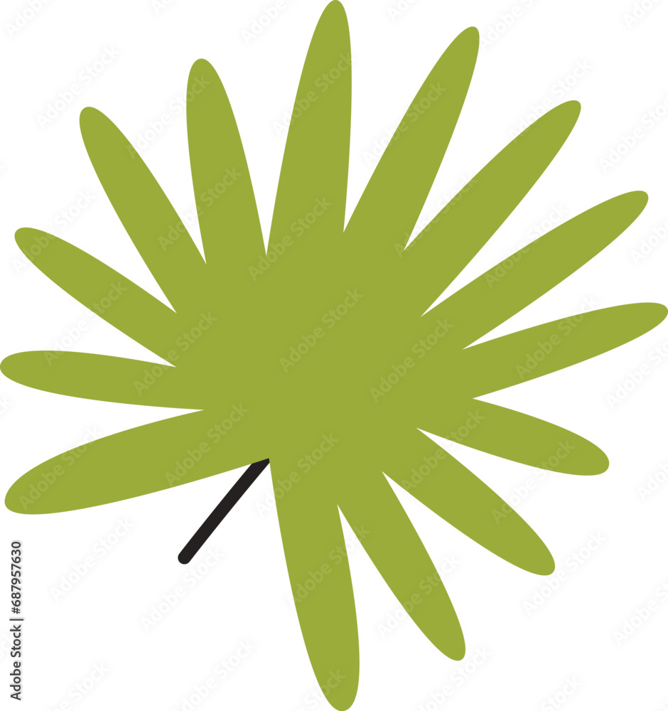 Tropical Tree Leaf Tropical Tree Leaf