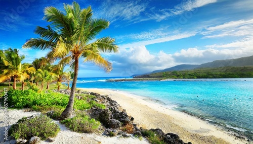 scenic coral beach with palm tree