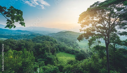 earth day eco concept with tropical forest background natural forestation preservation scene with canopy tree in the wild concept on sustainability and environmental renewable