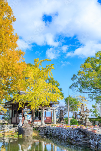                                                             Autumn Nuinoike and Kawazu Itsukushima Shrine. Saga Pref  Shiraishi town.