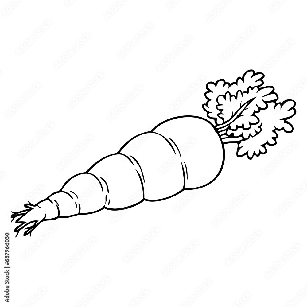 carrot line vector illustration carrot line vector illustration