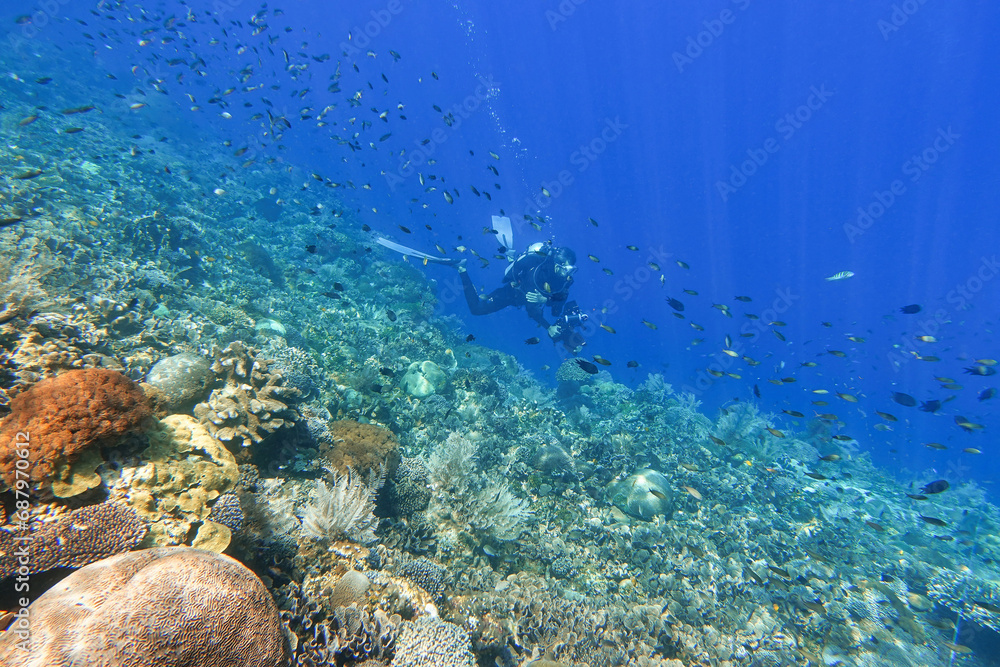 Indonesia Alor Island - Marine life Coral reef with tropical fish - Scuba Diving