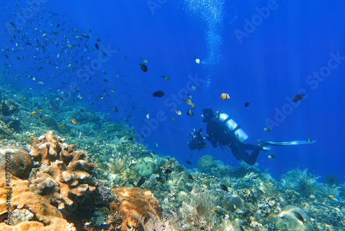 Indonesia Alor Island - Marine life Coral reef with tropical fish - Scuba Diving