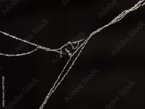 White Spider web with dew drops on black background