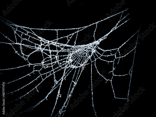 White Spider web with dew drops on black background