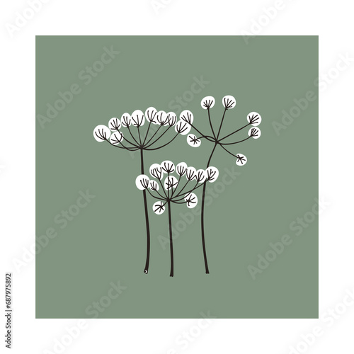 Vector card with hand drawn graceful dill umbels. Beautiful ink drawing, vintage style, botanical illustration.