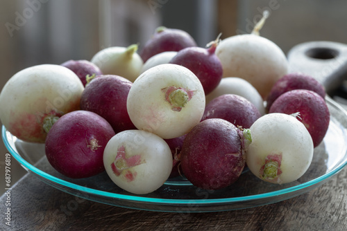 Organically grown fresh White and Purple colorful radishs. A vibrant and peppery radish medley, European radishes (Raphanus sativus), Freshly harvested, Space for text, Selective focus.