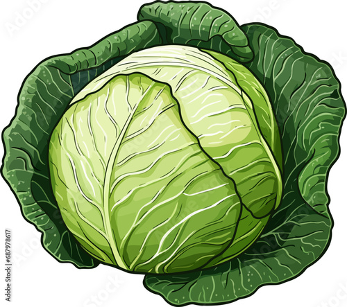 Cabbage clipart design illustration