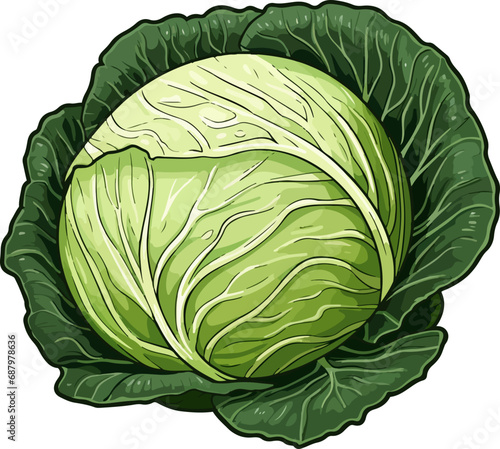 Cabbage clipart design illustration