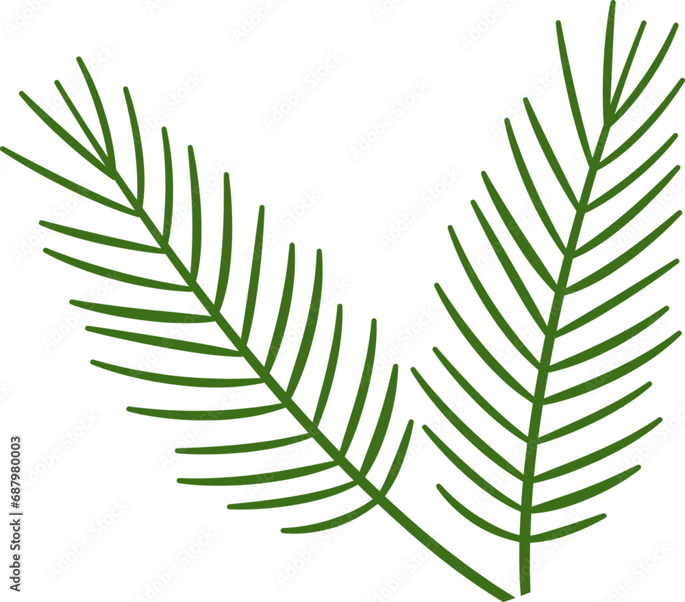 Pine Tree Branch Pine Tree Branch